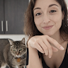 Spicycat