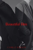 Beautiful Him cover
